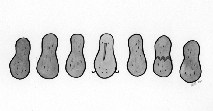 I Make Silly Illustrations Of Kiwi Birds