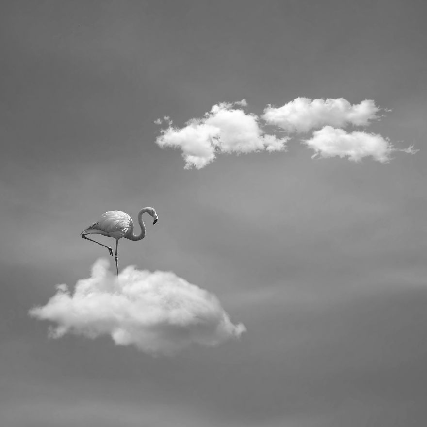 I See The World In A Minimalist Way