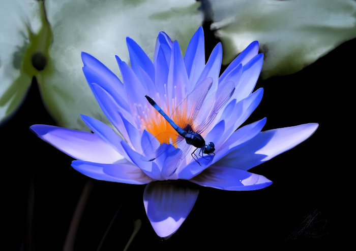 My Close Friend Is A Brilliant Digital Artist – And She Doesn’t Even Realise It.