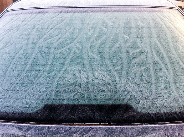Dirty Cars Get The Most Beautiful Frost Feathers