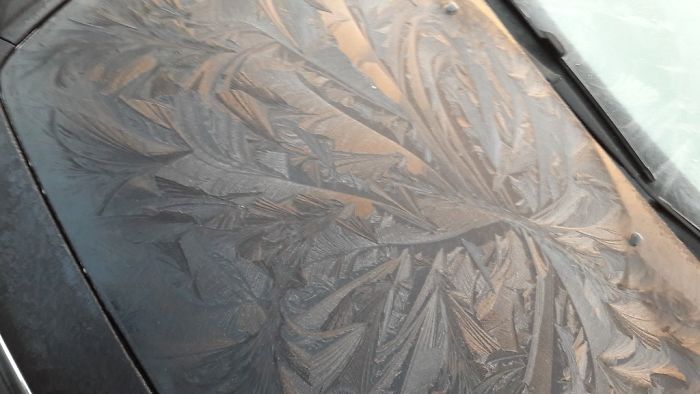 Hood Of My Car When Frozen