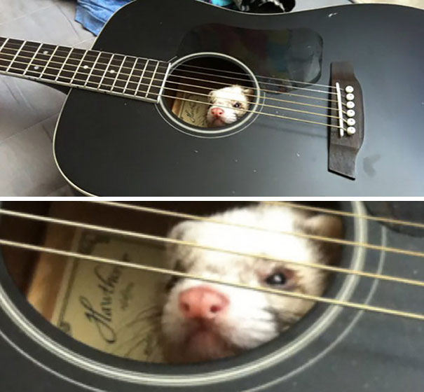 I Left You Alone For Five Minutes