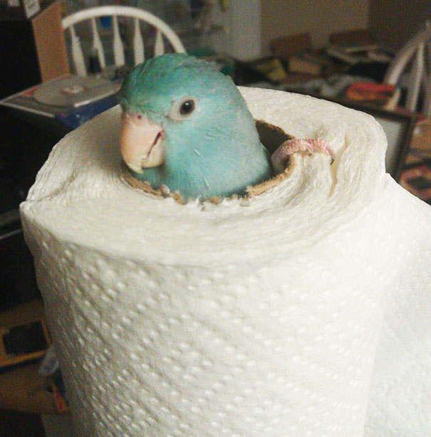 Look Where My Buddy Got Stuck This Morning