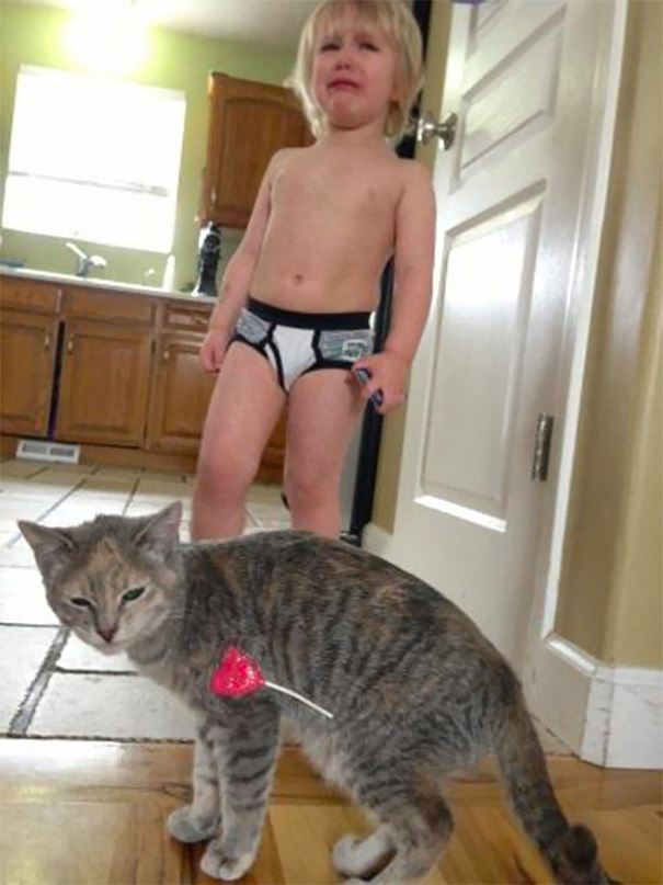 My Cat Took My Brothers Valentines Day Sucker