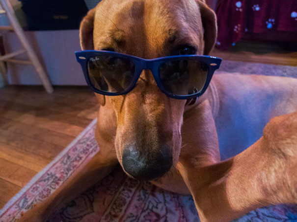 The Classic Selfie Eko Took