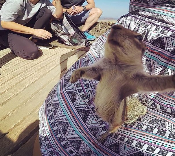 Come On Guys Lets Take A Selfie, Say Cheese