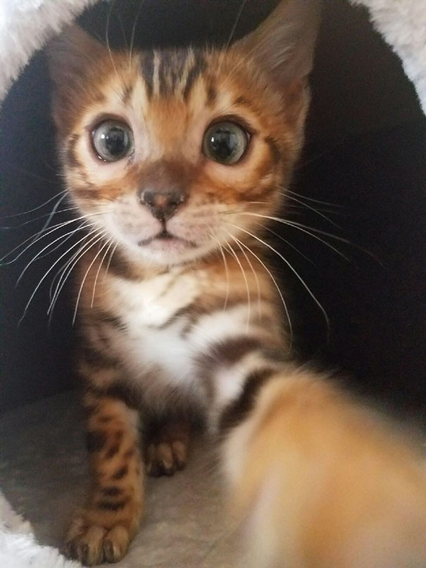 When You Take A Picture And The Selfie Cam Surprises You