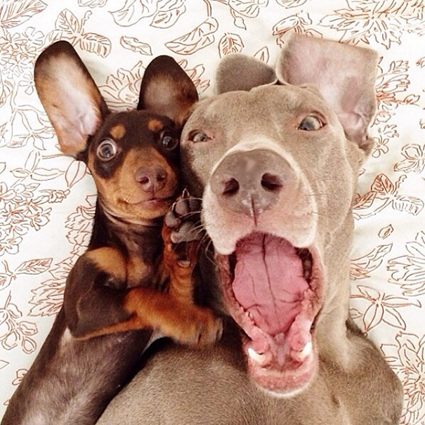 BFF Selfie Time