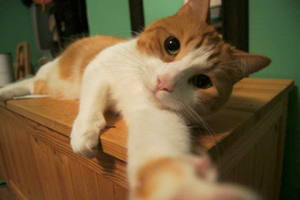 Just Taking A Selfie