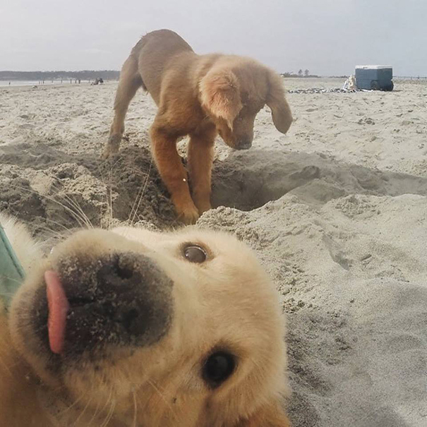 This Little Goober's Selfie