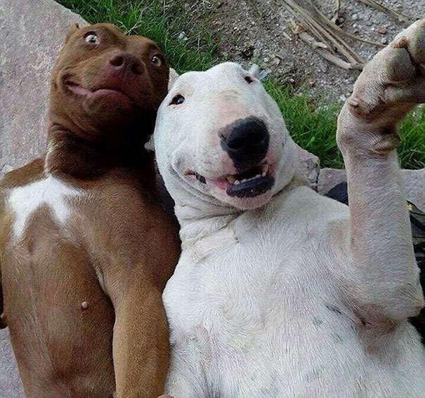 BFF Selfie Time