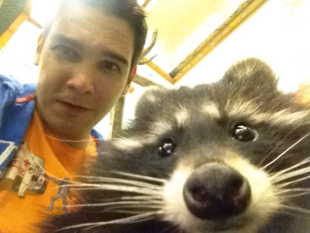 I Took A Raccoon Selfie