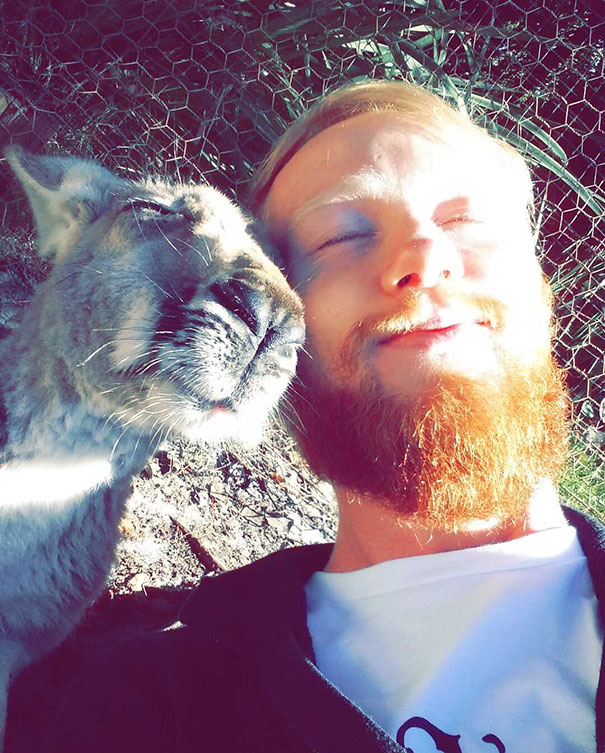 Kangaroo Selfie