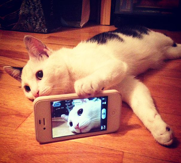 Snapcat