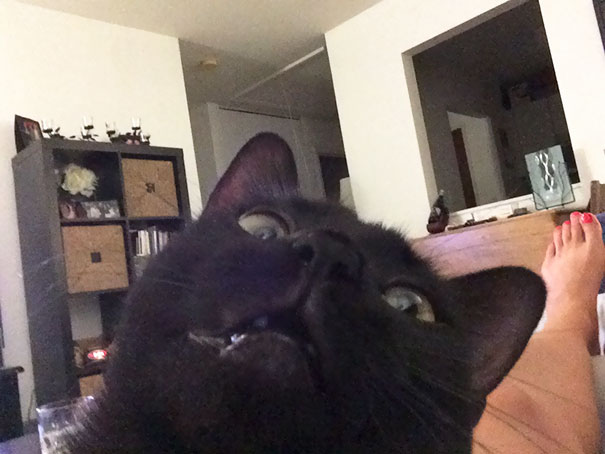 Her First Attempt At A Selfie