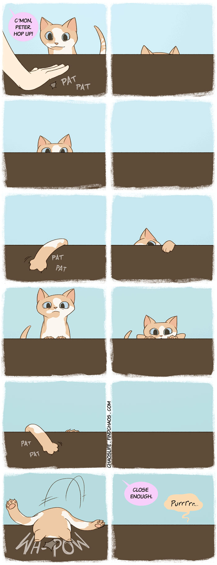 Cat Comics