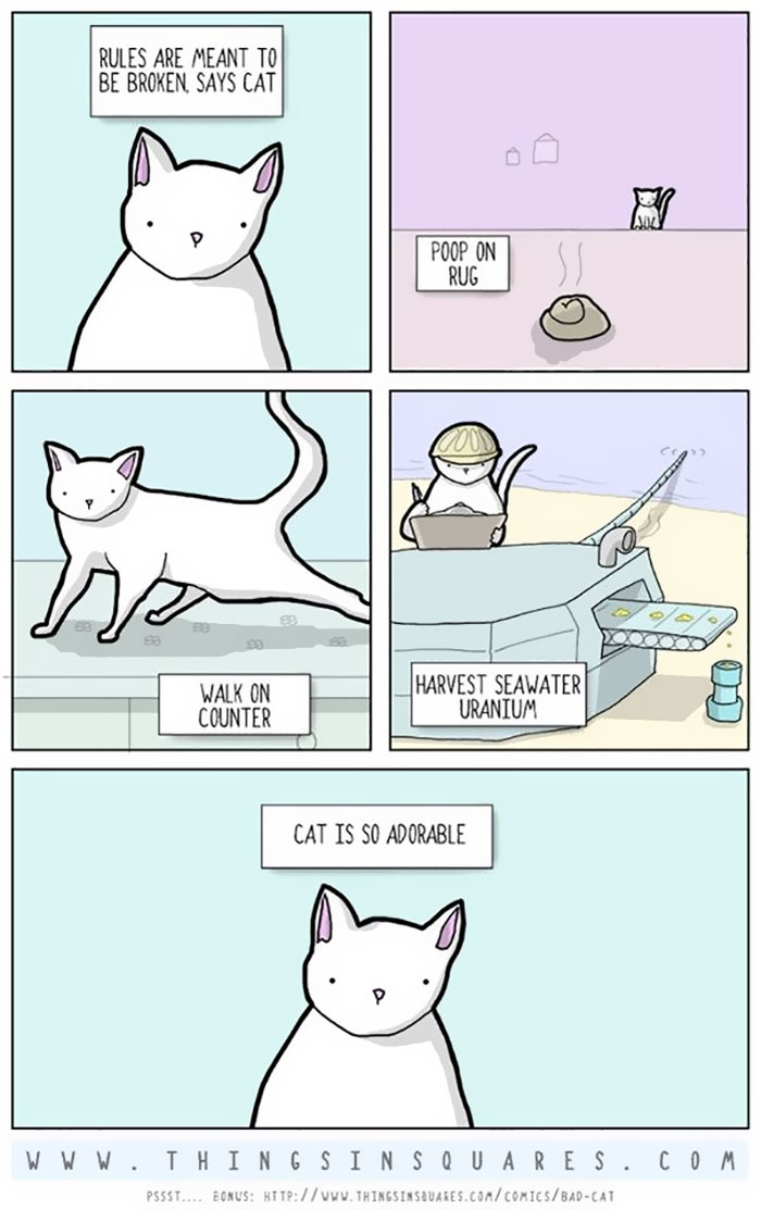 Cat Comics