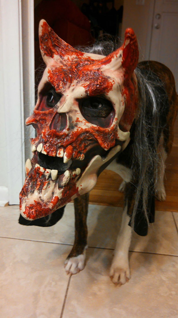 Just Scared The Living Shit Out Of My Girlfriend