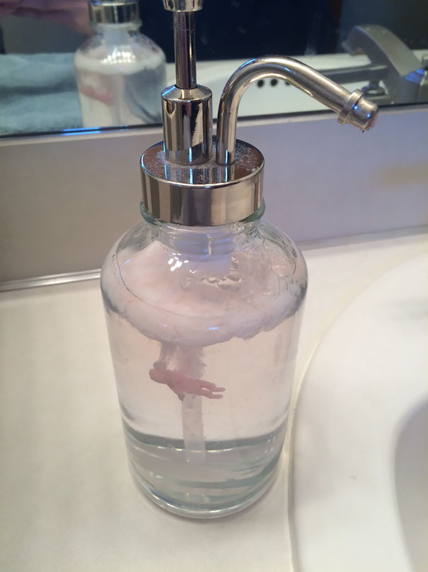Wife Replaced The Pink Soap With Clear Without Washing It First. The Pink Soap Floated To The Top And I Was Grossed Out Saying That It Looked Like Afterbirth. Today I Found This