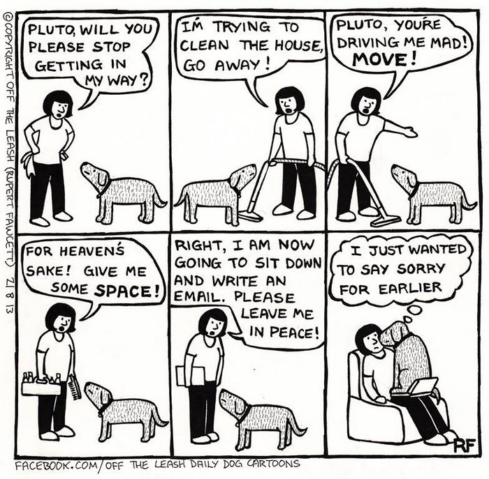 Funny Dog Cartoons
