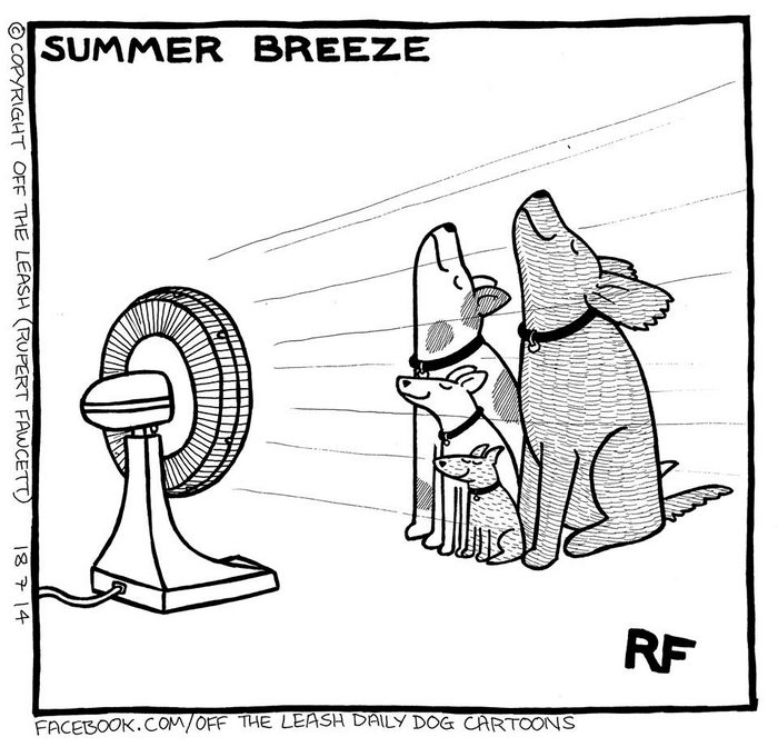 Funny Dog Cartoons