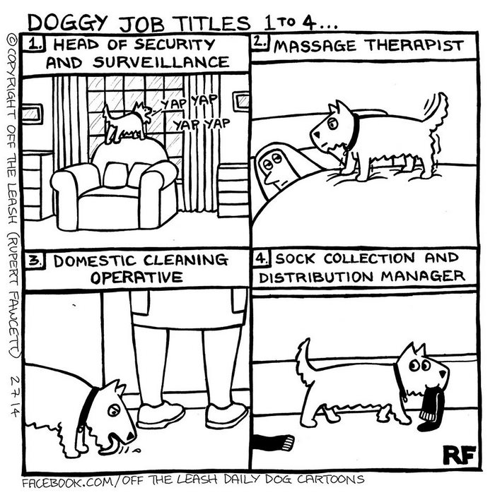 Funny Dog Cartoons