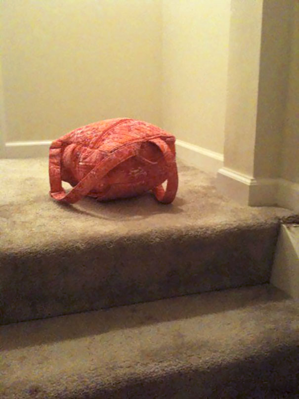 Asked My Daughter To Take Her Backpack Upstairs