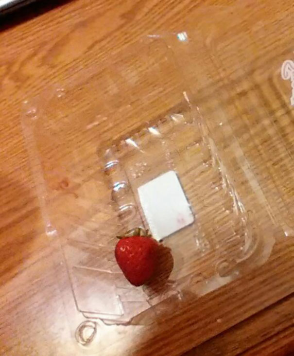 I Asked The Kids Not To Eat All Of The Strawberries... Hey, At Least They Listen!