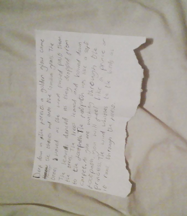 My Teenage Daughter's School Asked Her To Do Half A Page Of Writing. She Went To Send This In