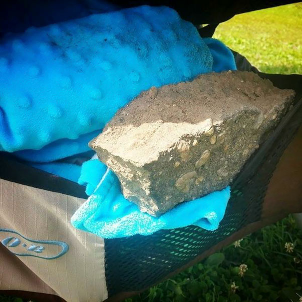 I See I Should've Been More Specific When I Told E He Could Grab A Few More Rocks For His Collection