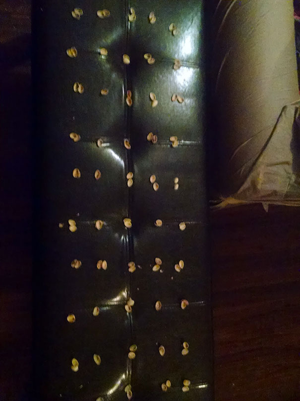 Maybe I Shouldn't Have Told My Daughter You Can Make "Art" Out Of Anything