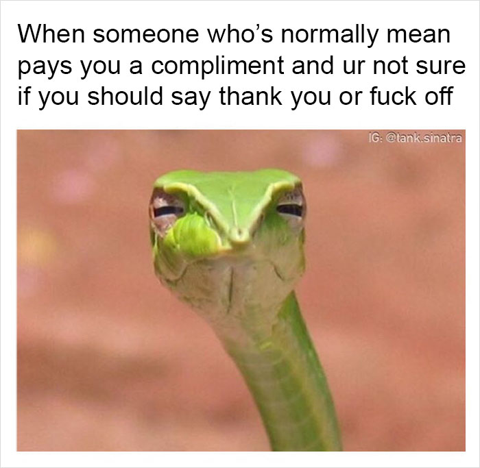 Funny-memes-tank-sinatra