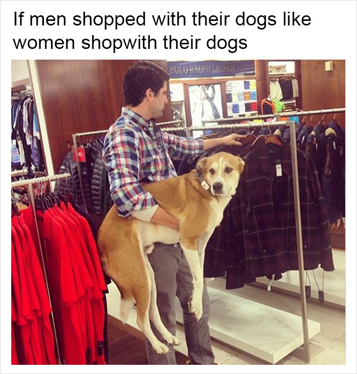 Funny-memes-tank-sinatra