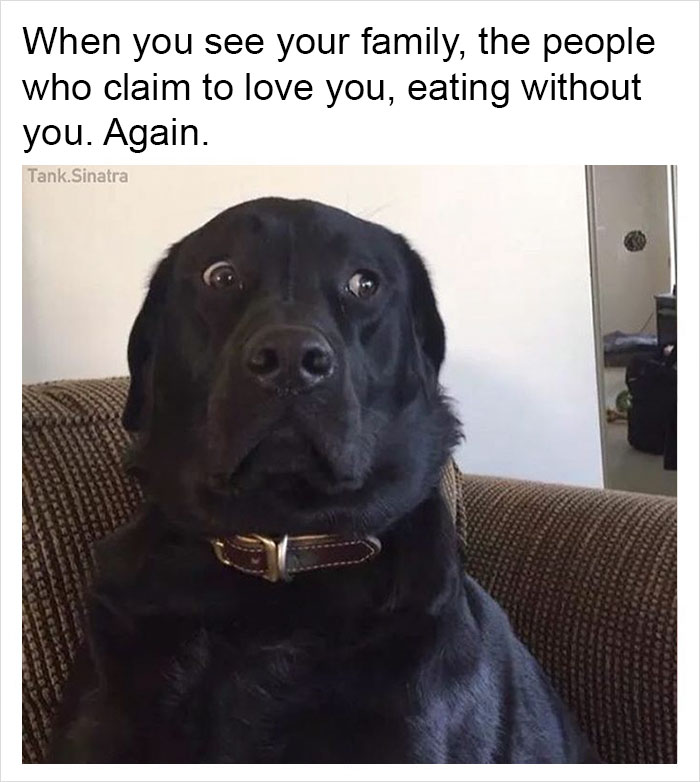 Funny-memes-tank-sinatra