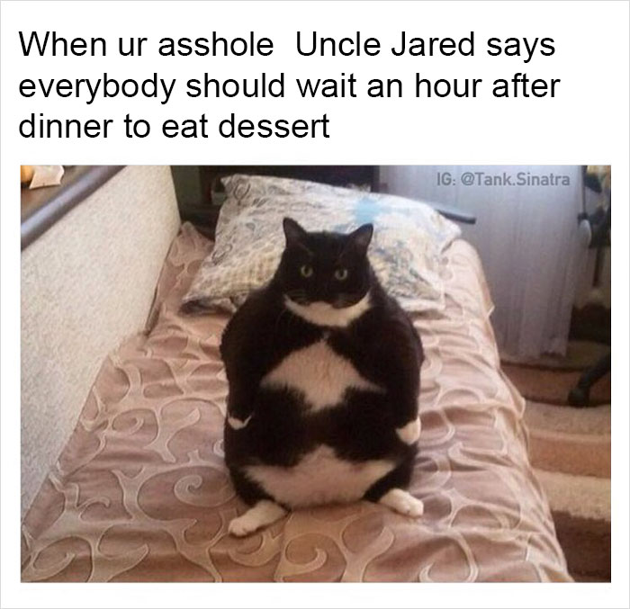 Funny-memes-tank-sinatra