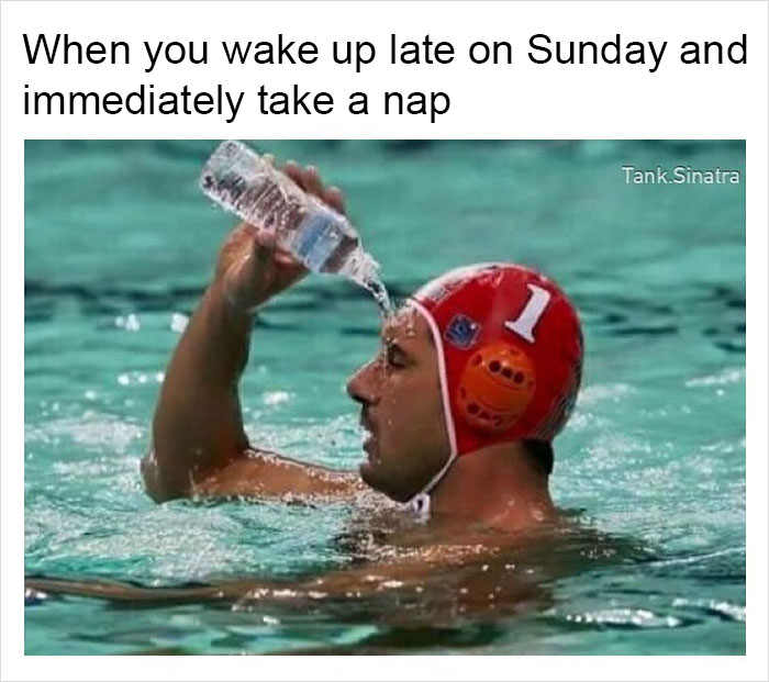 Funny-memes-tank-sinatra