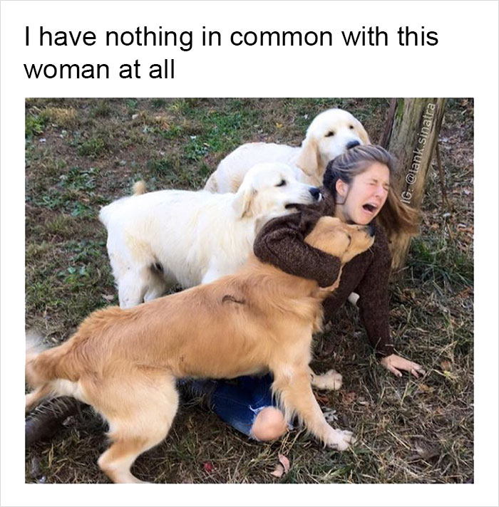 Funny-memes-tank-sinatra