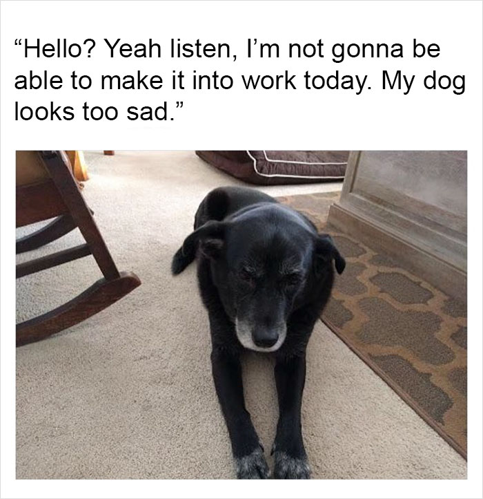 Funny-memes-tank-sinatra