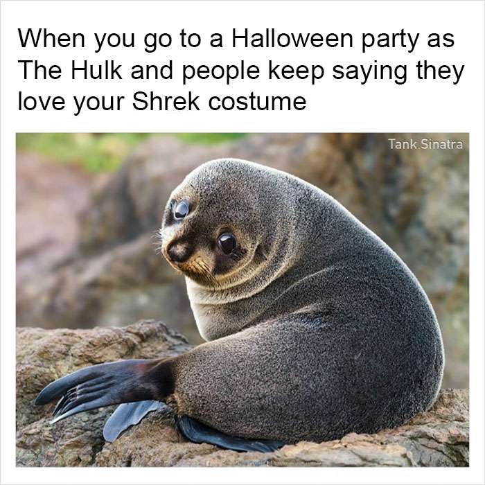 Funny-memes-tank-sinatra