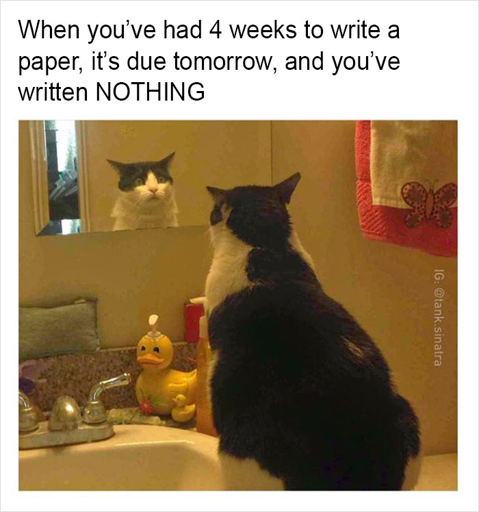 Funny-memes-tank-sinatra