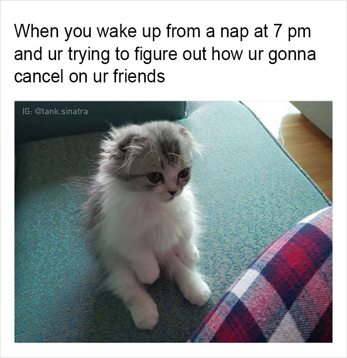 Funny-memes-tank-sinatra