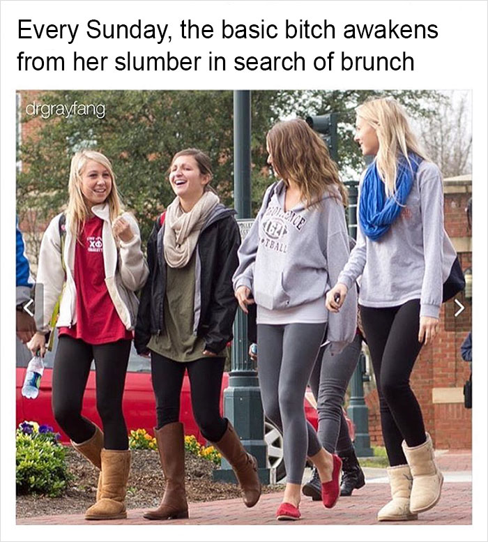 Funny-memes-tank-sinatra