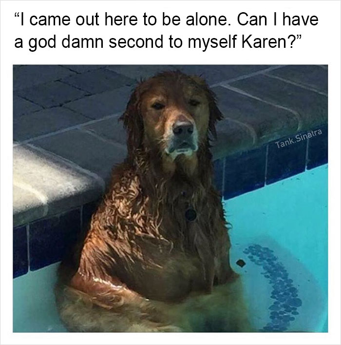 Funny-memes-tank-sinatra