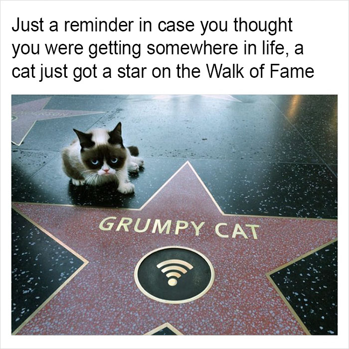 Funny-memes-tank-sinatra