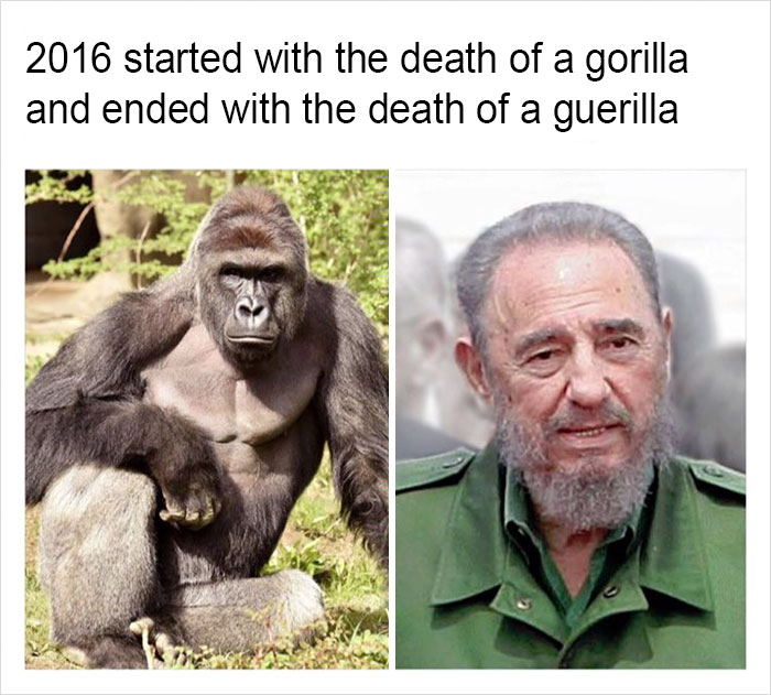 Funny-memes-tank-sinatra