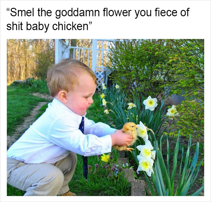 Funny-memes-tank-sinatra