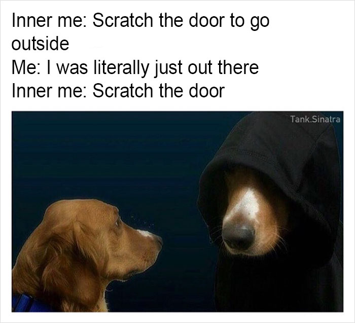 Funny-memes-tank-sinatra