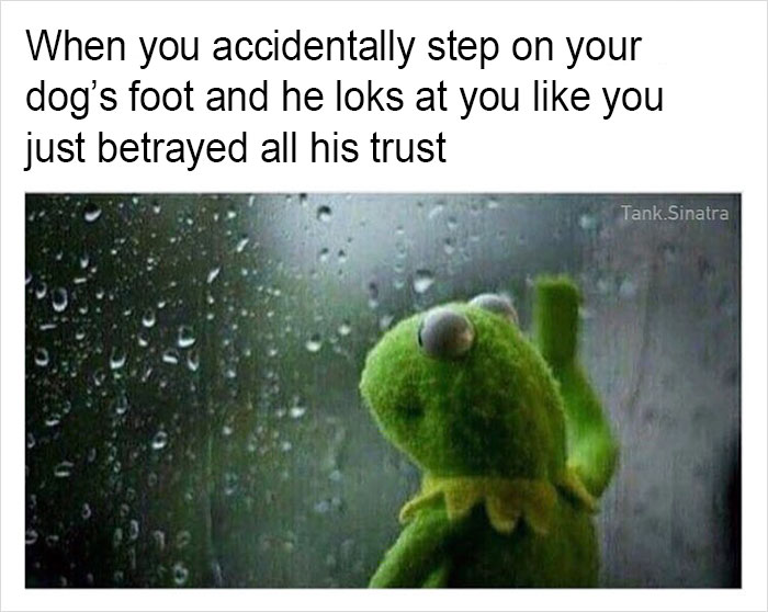 Funny-memes-tank-sinatra