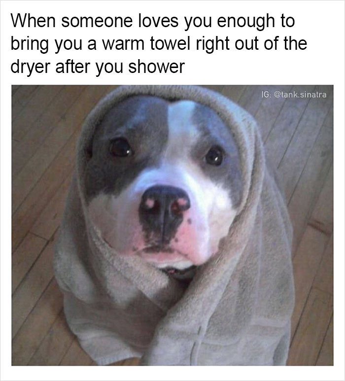 Funny-memes-tank-sinatra