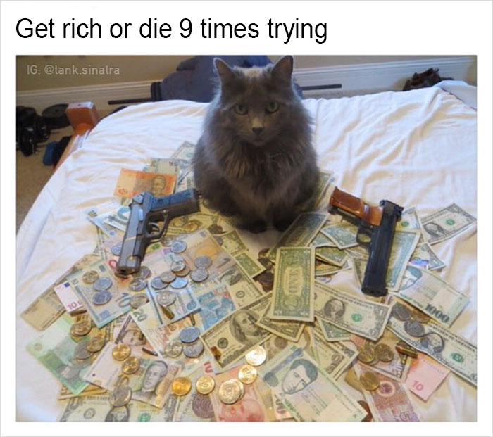 Funny-memes-tank-sinatra